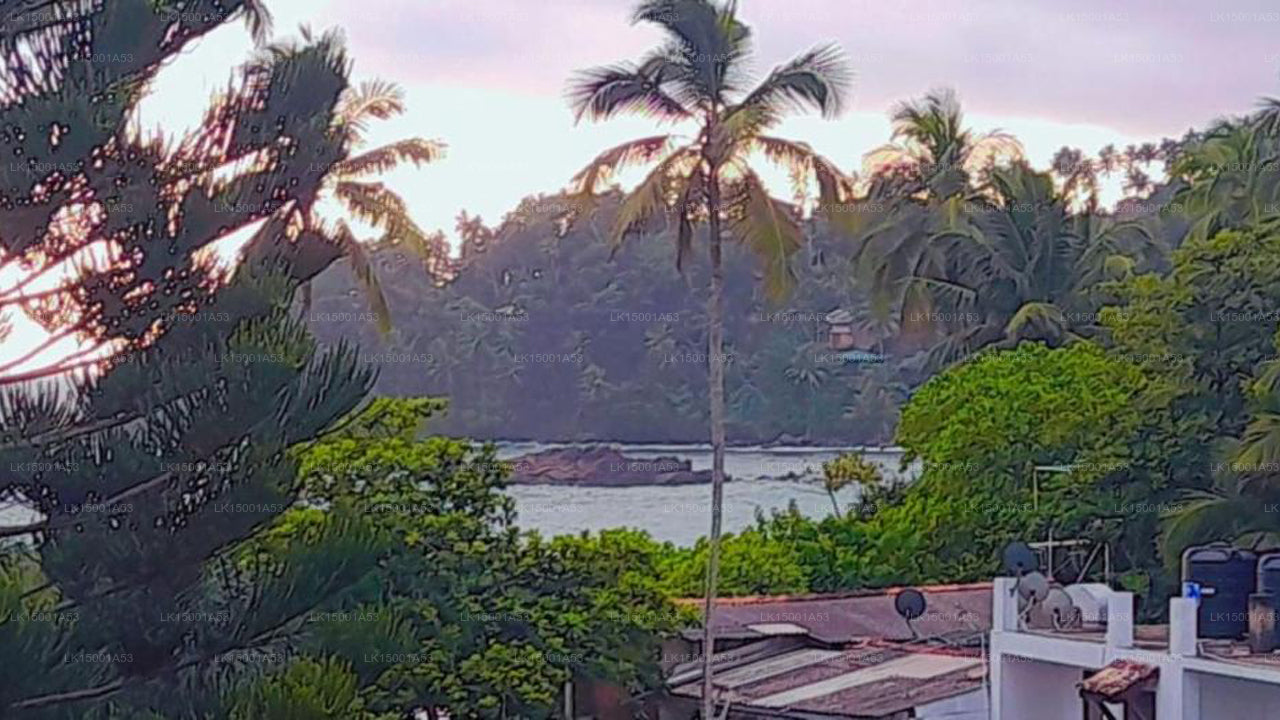 Mirissa Village, Miriss