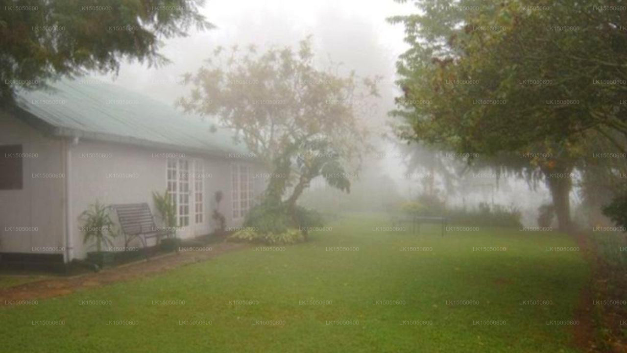 Sherwood Tea Plantation Bungalow, Haputale