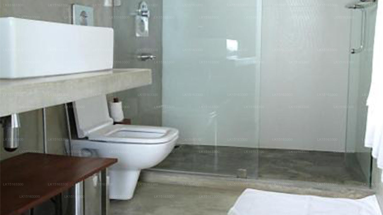 The Ocean Front, Colombo