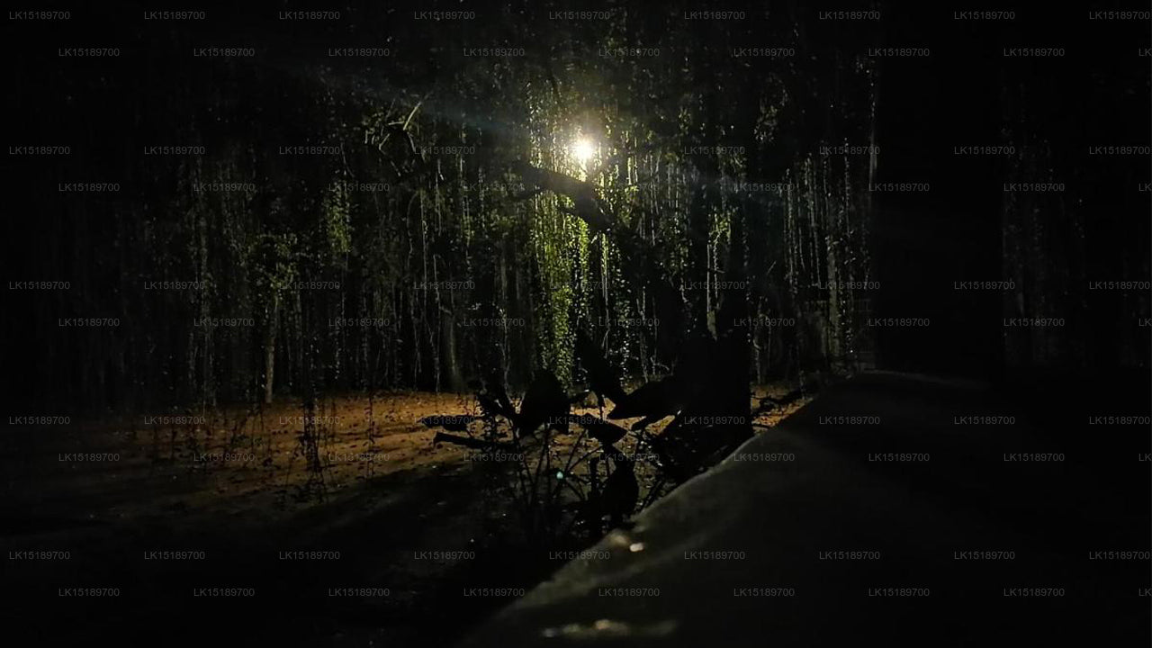 Clay Hut Village, Polonnaruwa