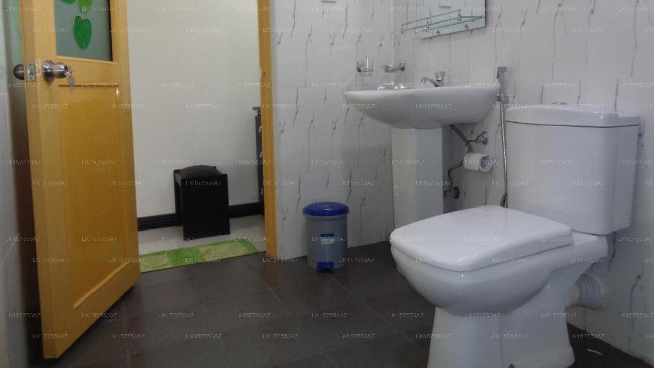 Man Guest, Polonnaruwa