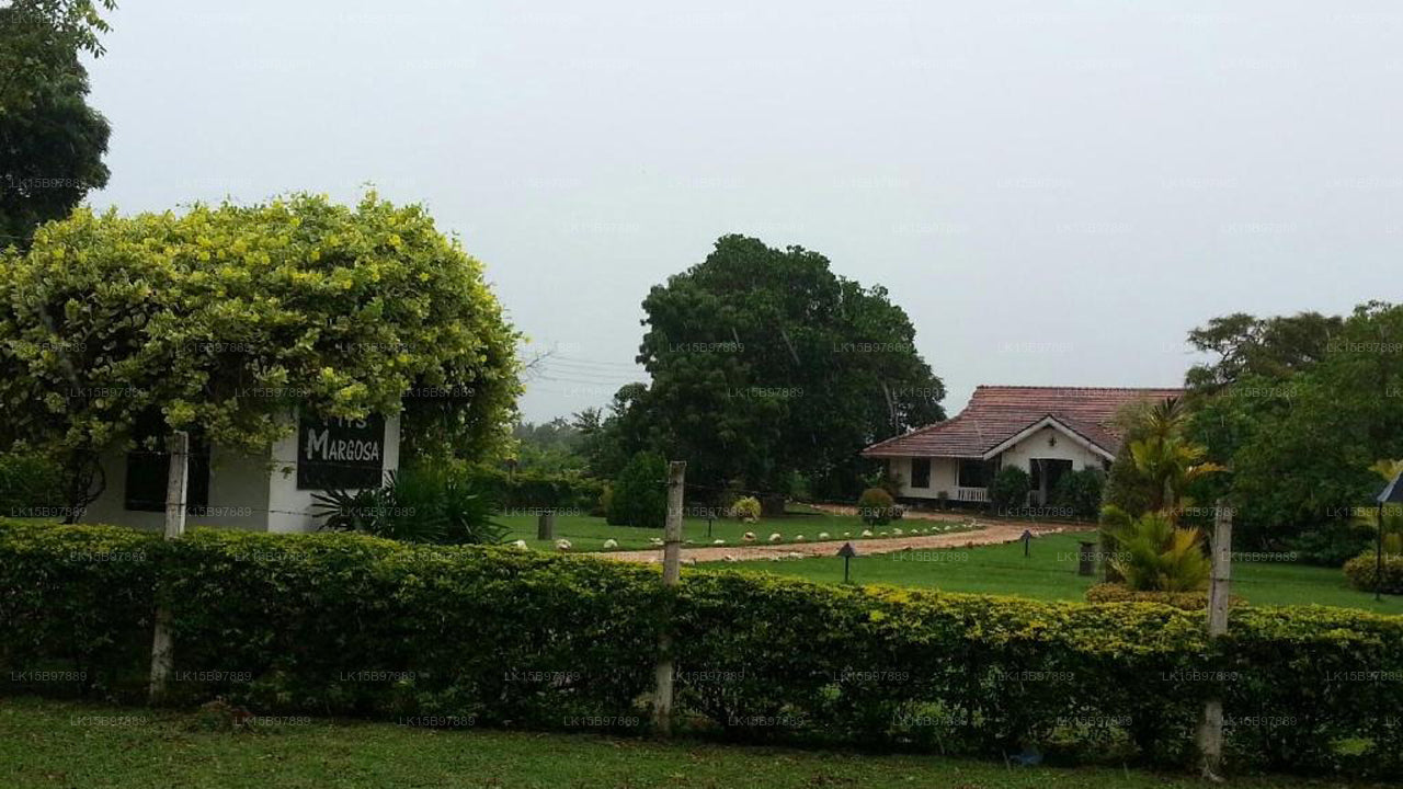 Margosa Green, Jaffna