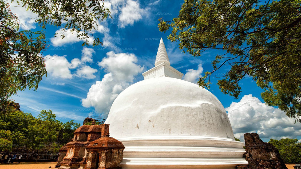 पोलोन्नारुवा प्राचीन शहर का गाइडेड टूर, एंट्रेंस टिकट के साथ