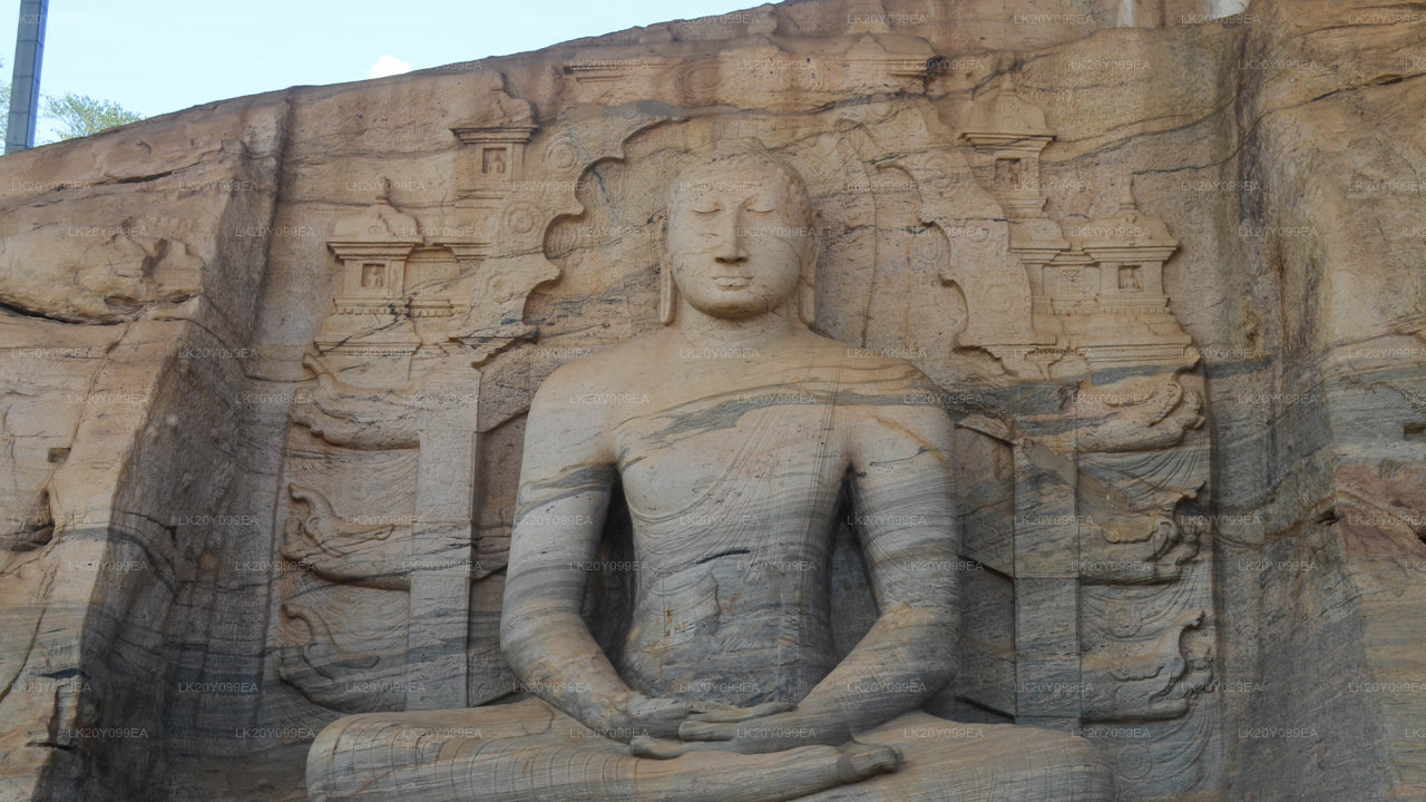 स्थानीय गाइड