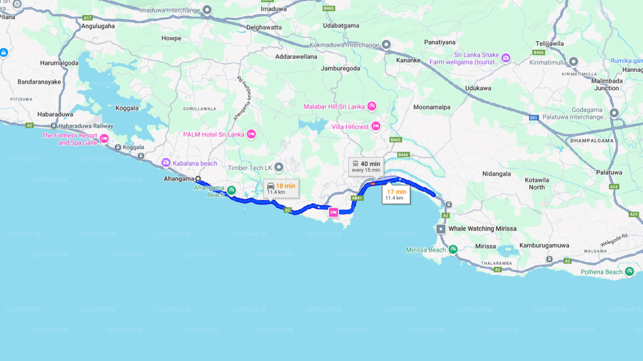 साझा नाव पर अहंगामा से व्हेल देखना