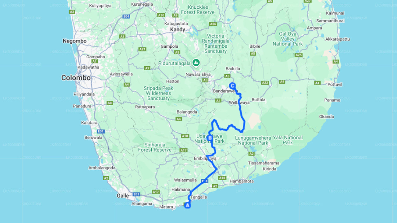 उदावालावे सफारी के साथ हिरिकेतिया से एला तक निजी यात्रा