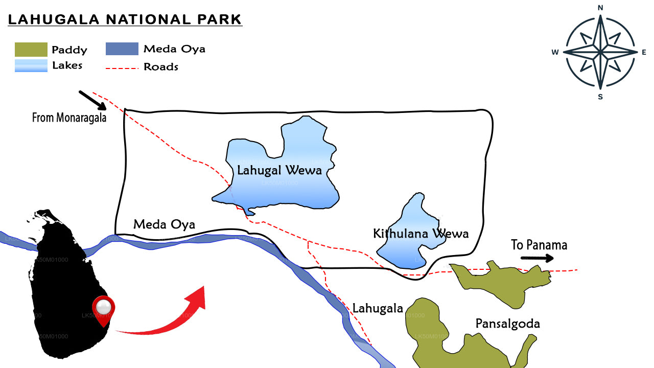 लाहुगाला कितुलाना राष्ट्रीय उद्यान निजी सफारी
