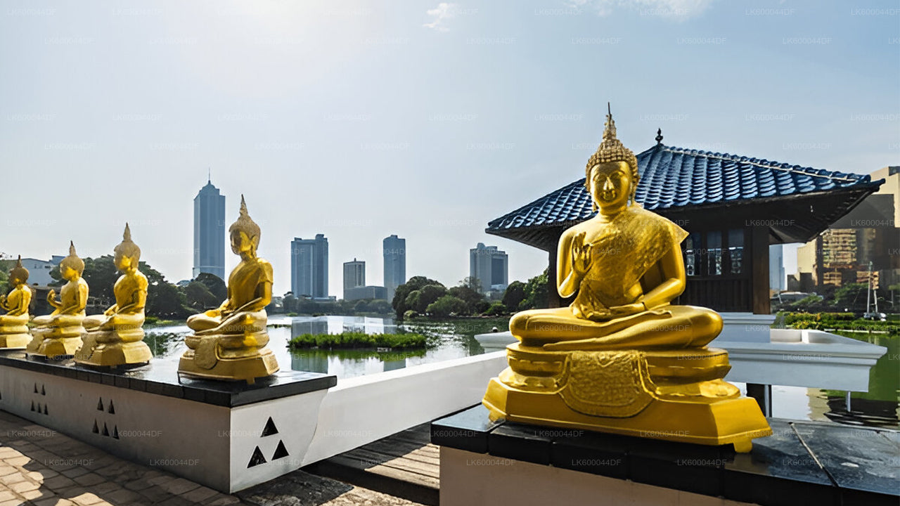 Colombo City Tour from Kosgoda