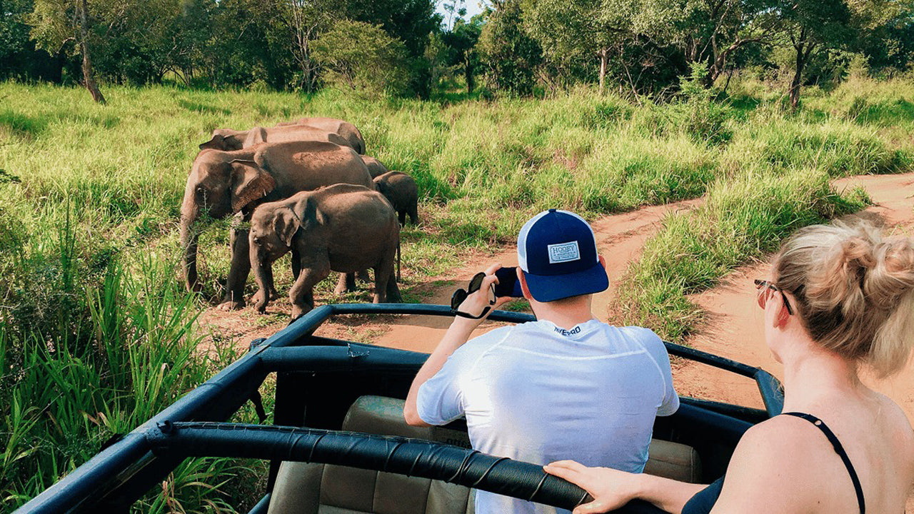 Polonnaruwa Heritage and Hurulu Eco Park Safari from Trincomalee
