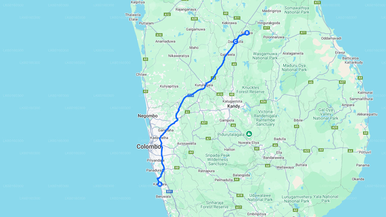 Sigiriya and Dambulla Cave from Kalutara