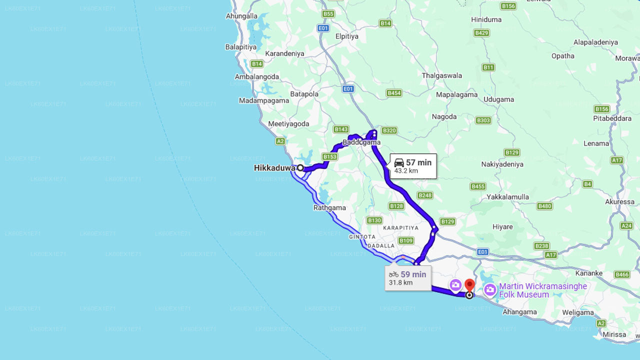 Baby Turtle Release from Unawatuna