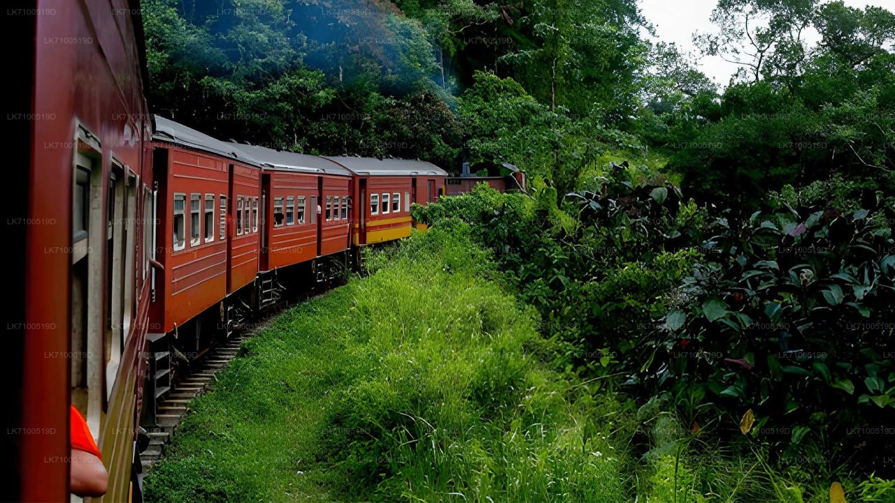 अंबेवेला से एला ट्रेन की सवारी (ट्रेन नंबर 1005/1015)