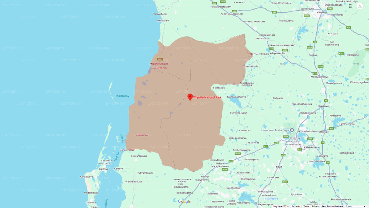विल्पट्टू नेशनल पार्क में एंट्री टिकट