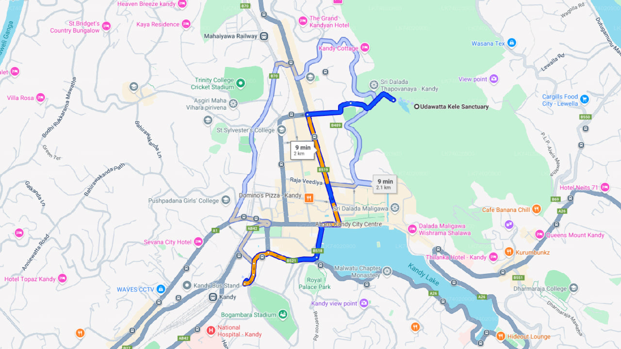 कैंडी से उदावट्टाकेले वन अभ्यारण्य की पैदल यात्रा