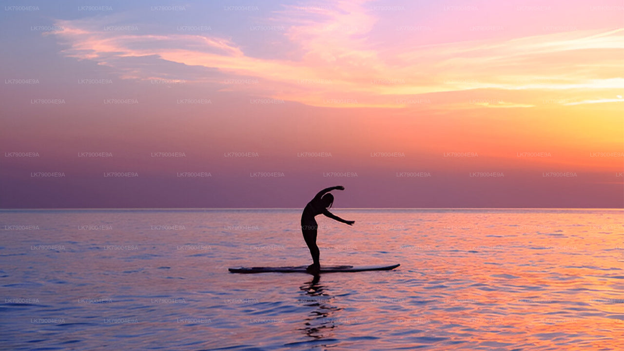 गैले से 3 घंटे का शेयर्ड सनसेट क्रूज़