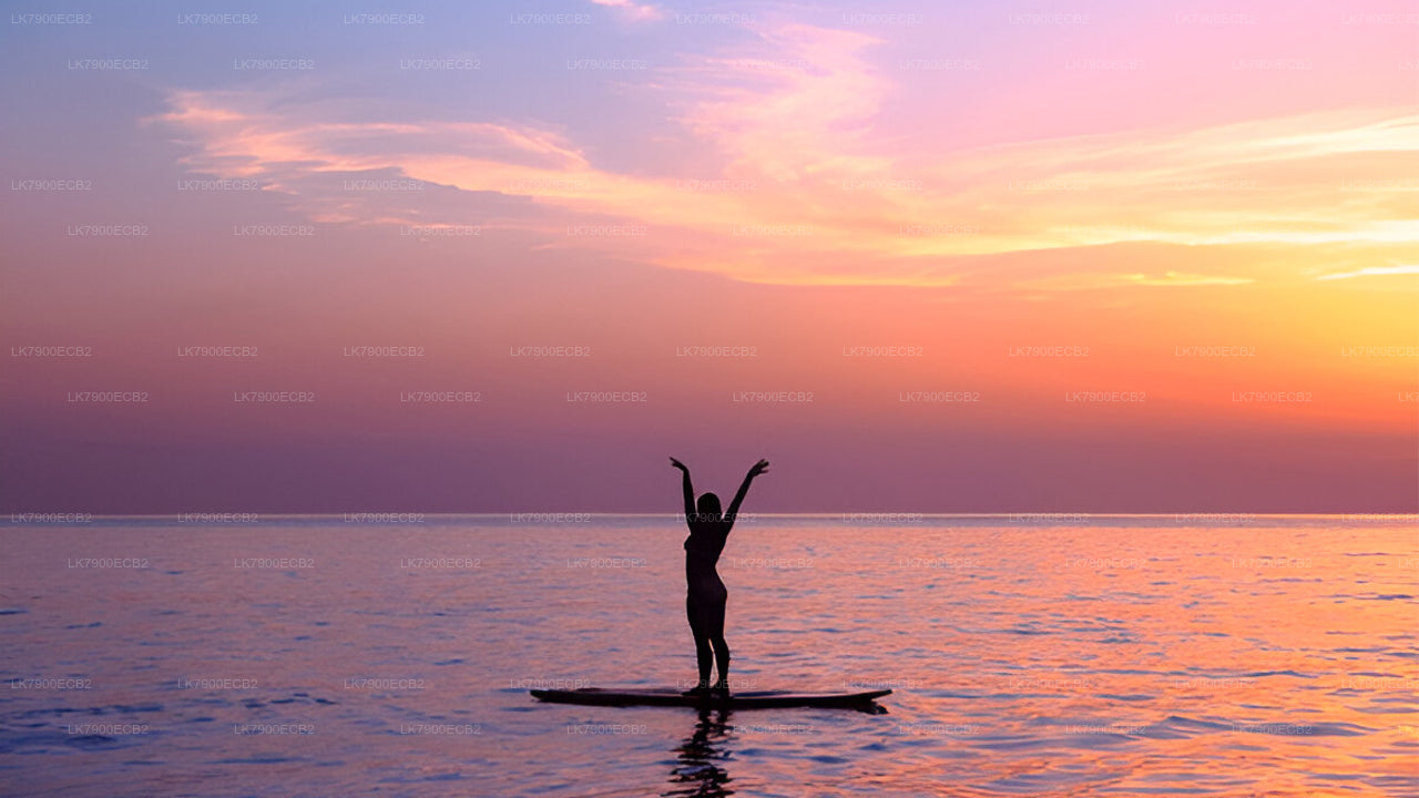 मिरिसा से ओशन डायमंड पर 6-रात का क्रूज़ अनुभव