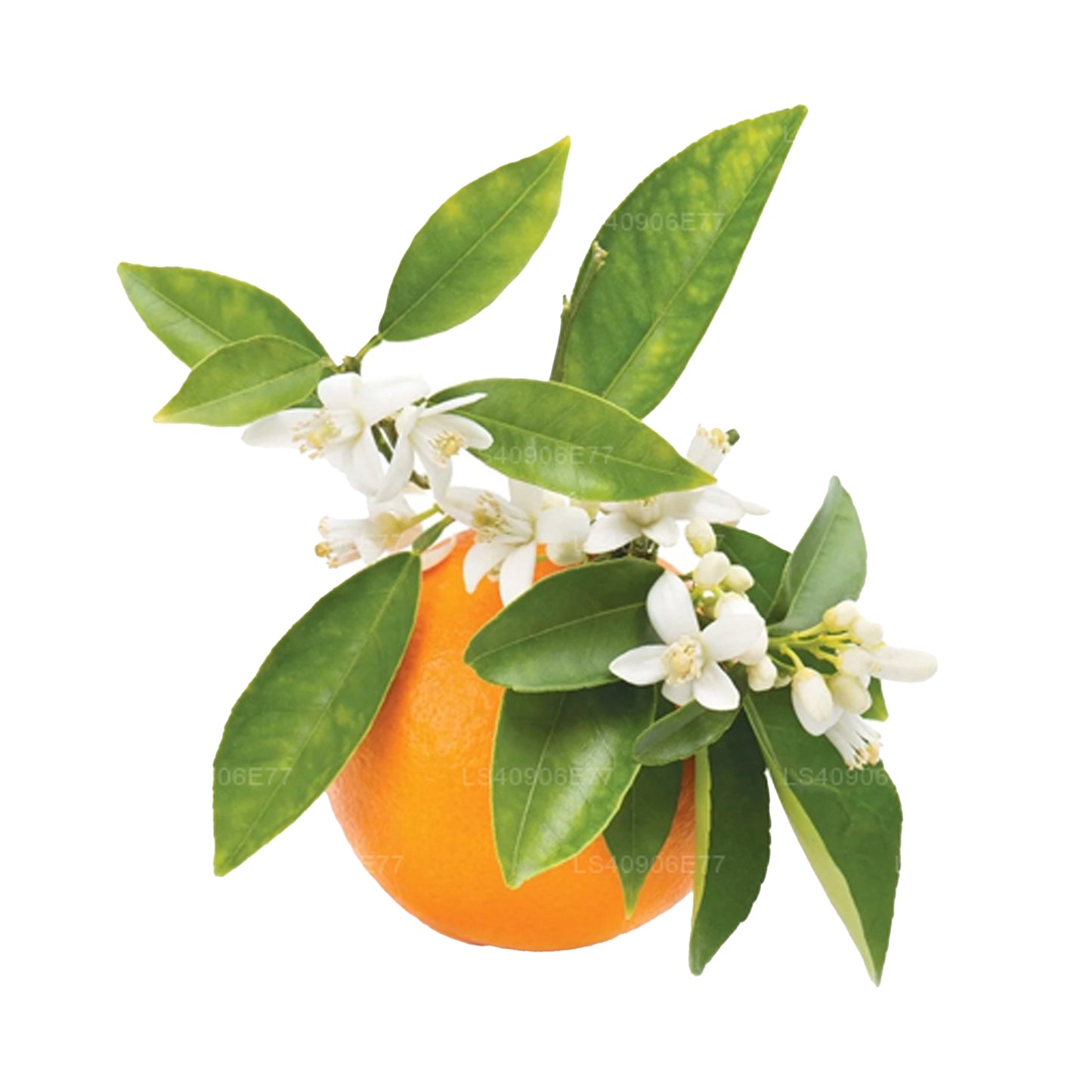 Lakpura® Petitgrain Essential Oil (15ml)