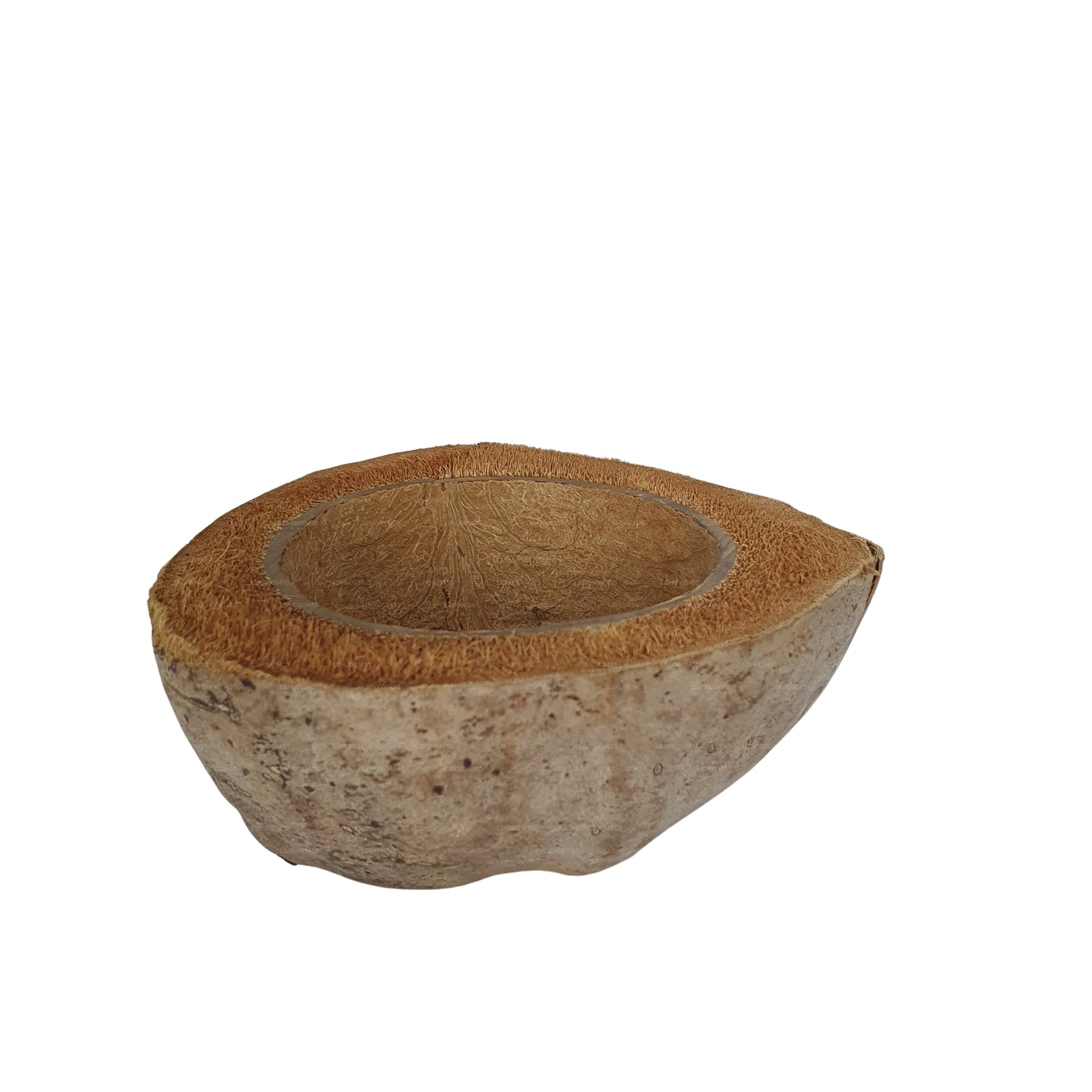 Bivenro Natural Coconut Planting Pot Design (Free Size)