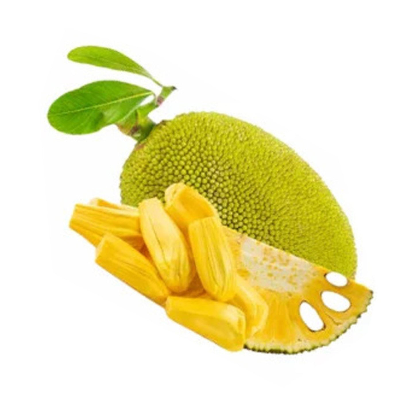 Lakpura Hirosa Jackfruit Grafted Plant