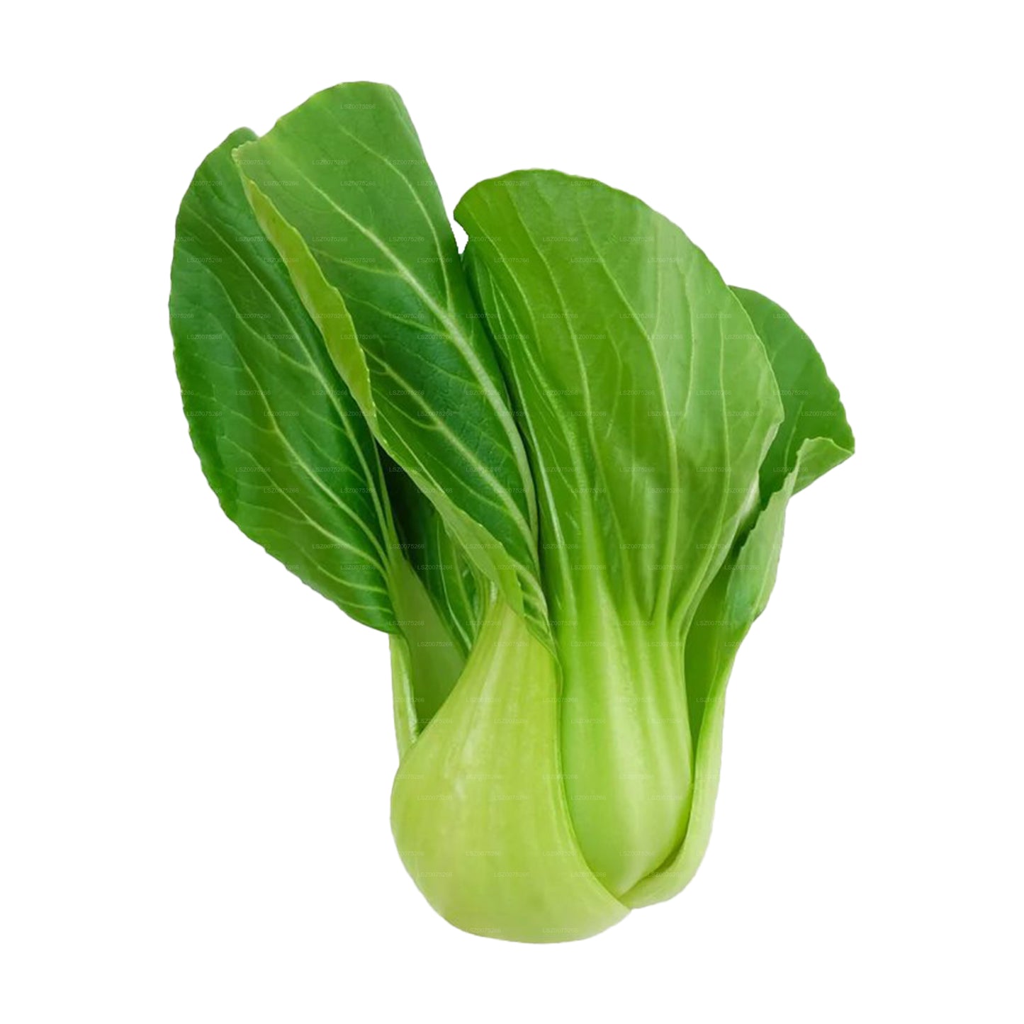 Lakpura Pak Choi (250g)