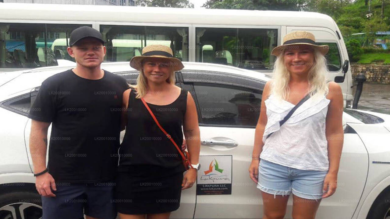 ड्राइवर द्वारा संचालित मानक कार रेंटल