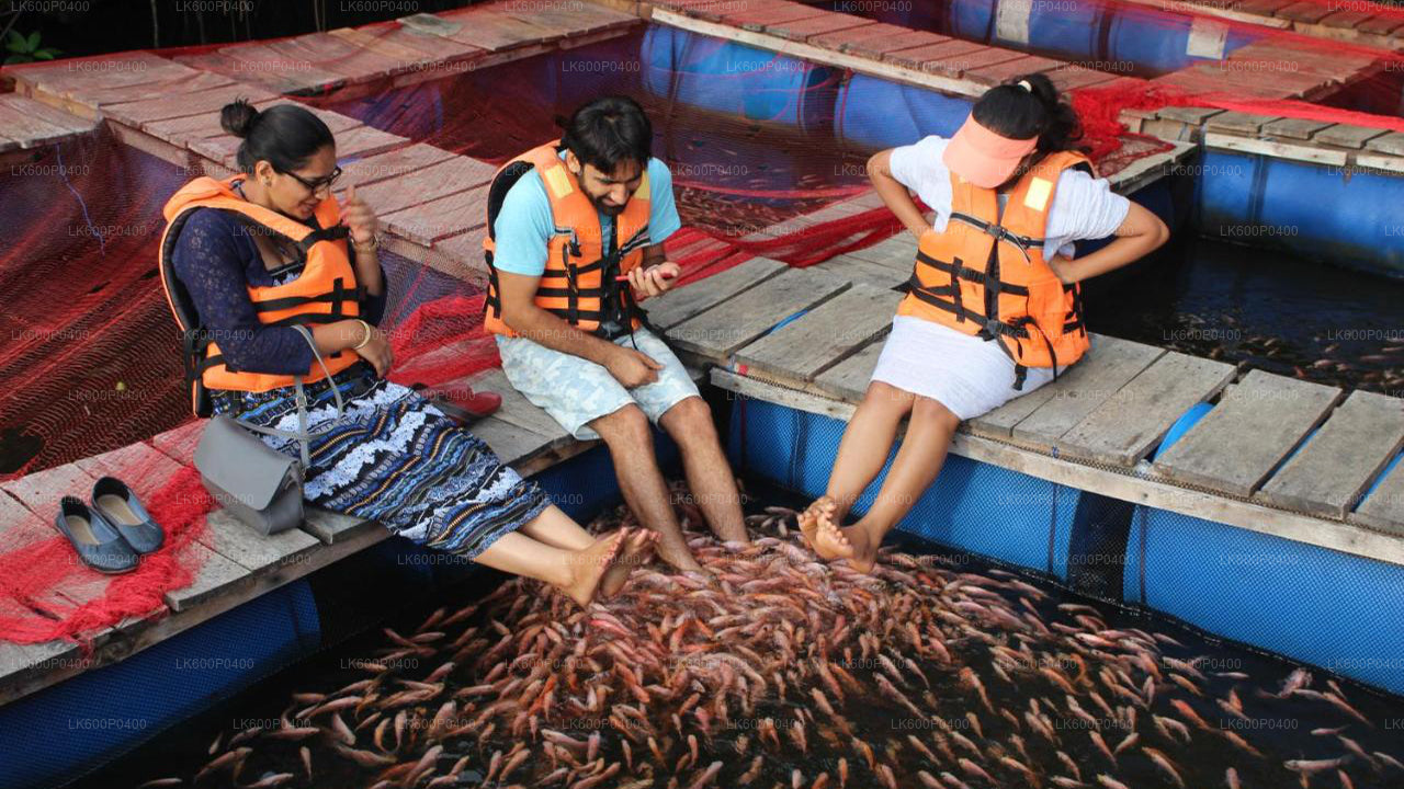 गैले से बेंटोटा शहर का दौरा