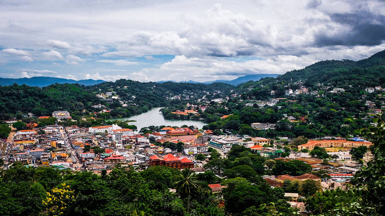 Discover Kandy by Helicopter from Negombo