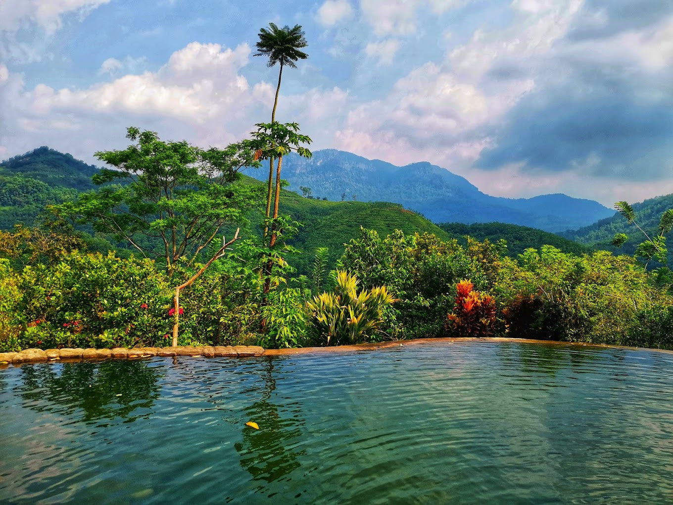 Paradise Eco Garden, Kithulgala