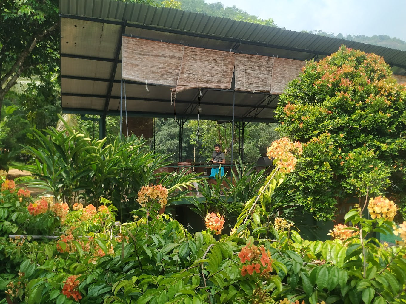 Paradise Eco Garden, Kithulgala