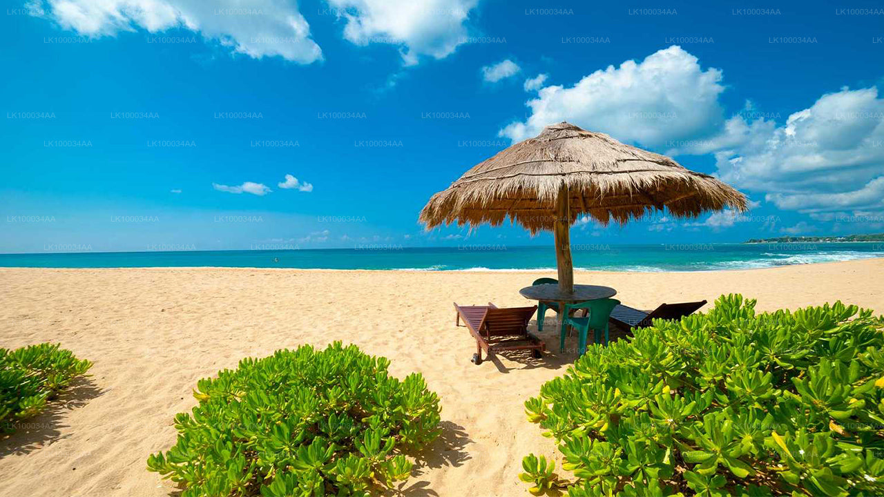 महेश अबेरत्ने के साथ श्रीलंका की खोज करें