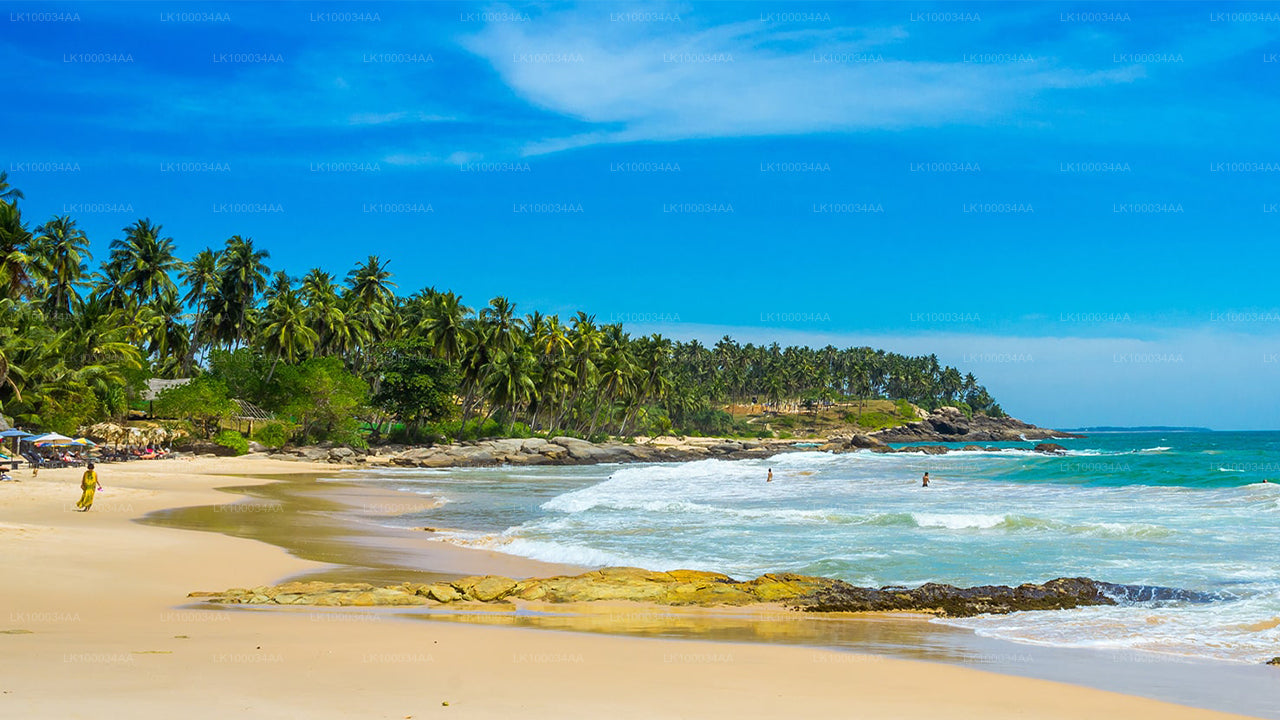 महेश अबेरत्ने के साथ श्रीलंका की खोज करें