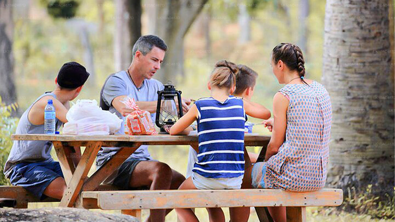 सस्टेनेबल टूर (10 दिन)