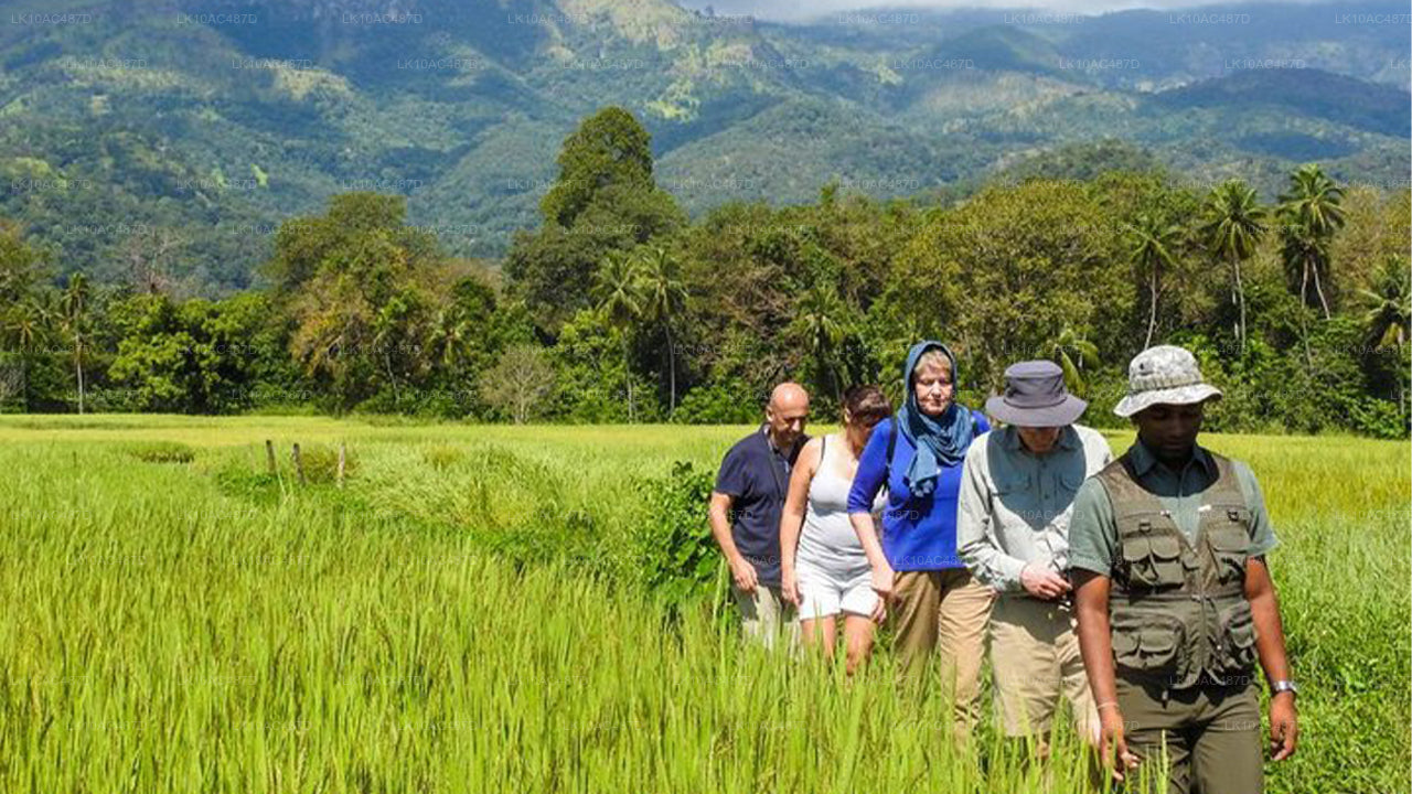 सस्टेनेबल टूर (10 दिन)