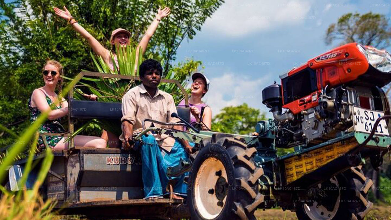 सस्टेनेबल टूर (10 दिन)