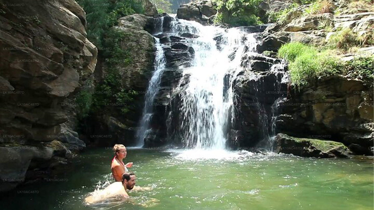 सस्टेनेबल टूर (10 दिन)