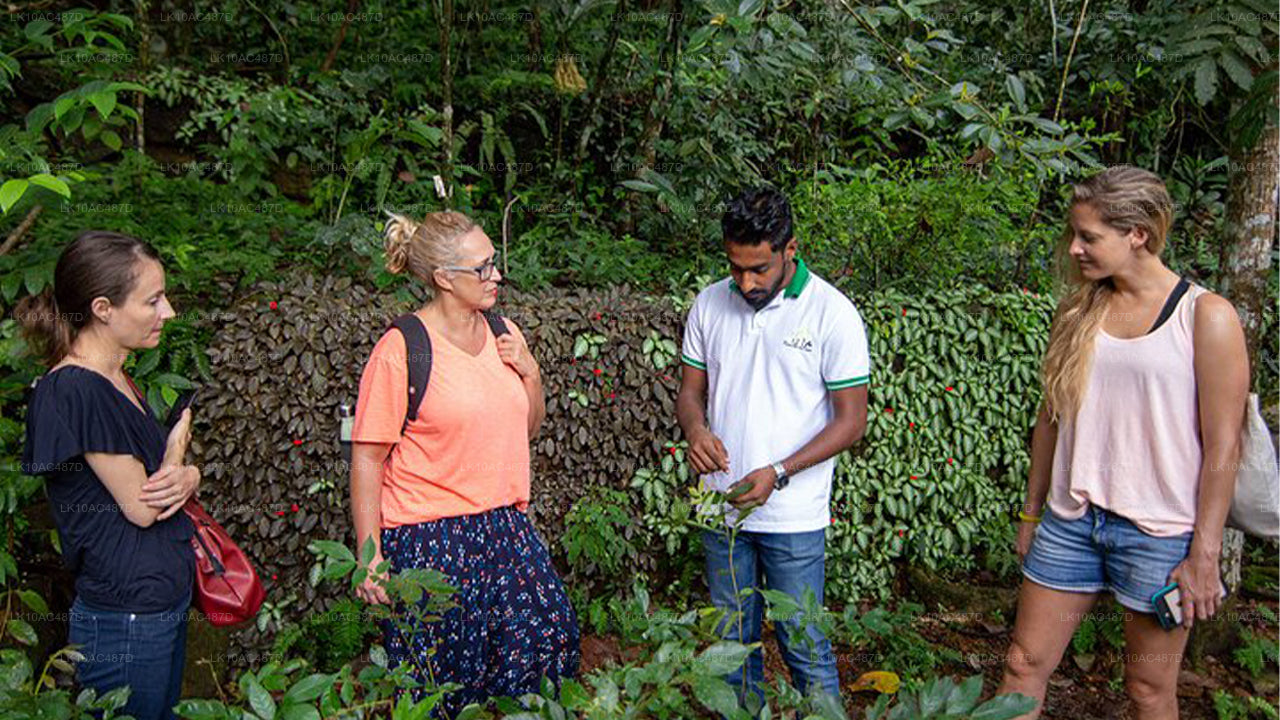 सस्टेनेबल टूर (10 दिन)