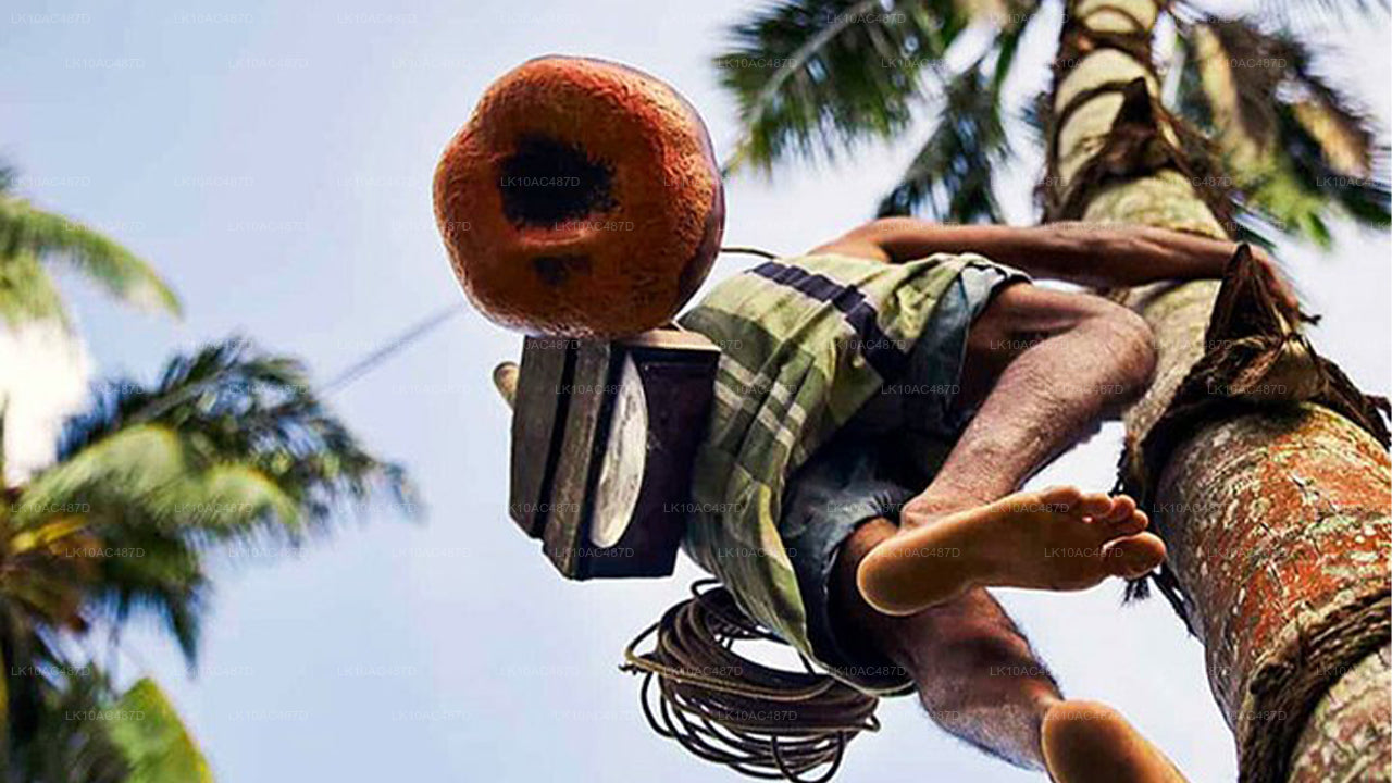 सस्टेनेबल टूर (10 दिन)