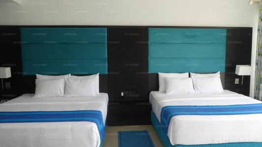 The Mountain Heavens, Ella