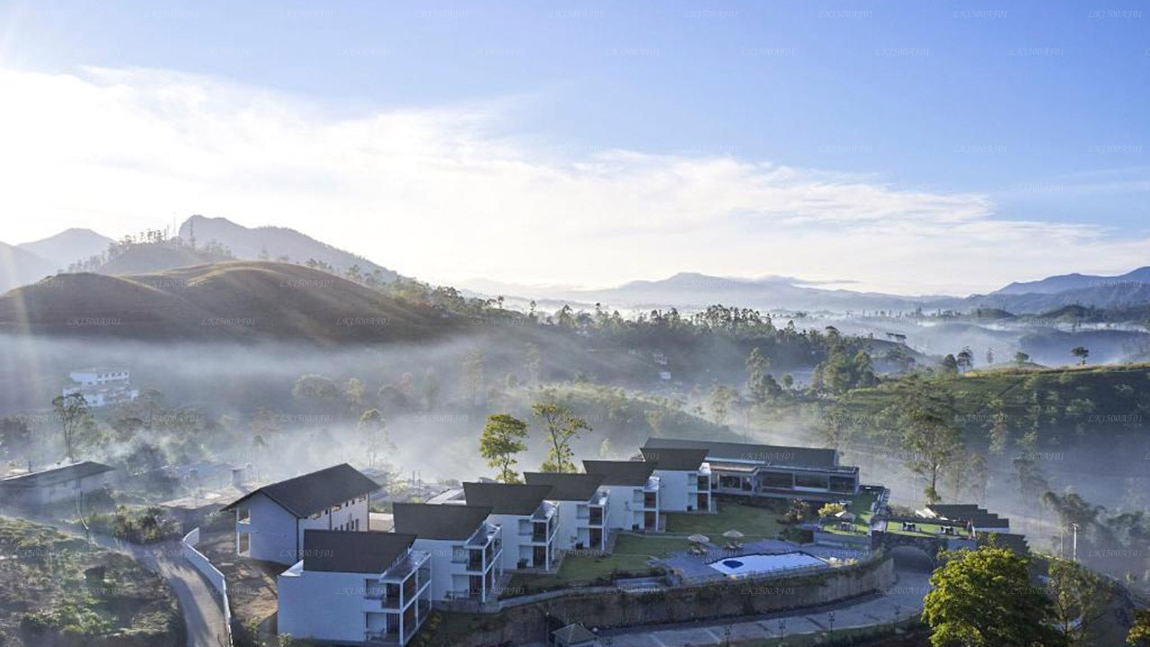 The Argyle - Luxury Boutique Hotel, Hatton