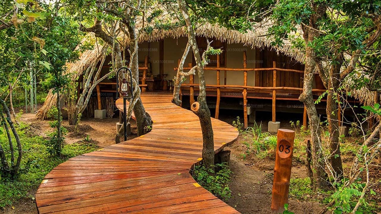 Chena Huts by Uga Escape , Yala