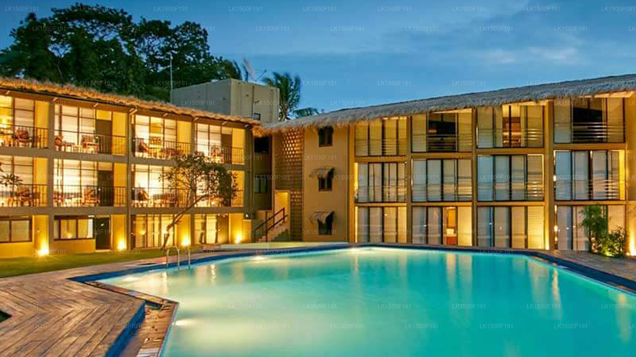 EKHO Safari Tissa, Tissamaharama