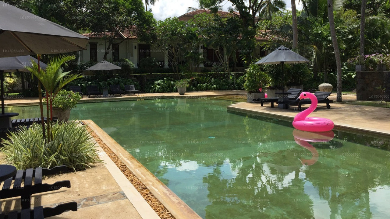 Villa Mihiripenna, Galle