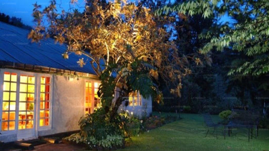 Sherwood Tea Plantation Bungalow, Haputale