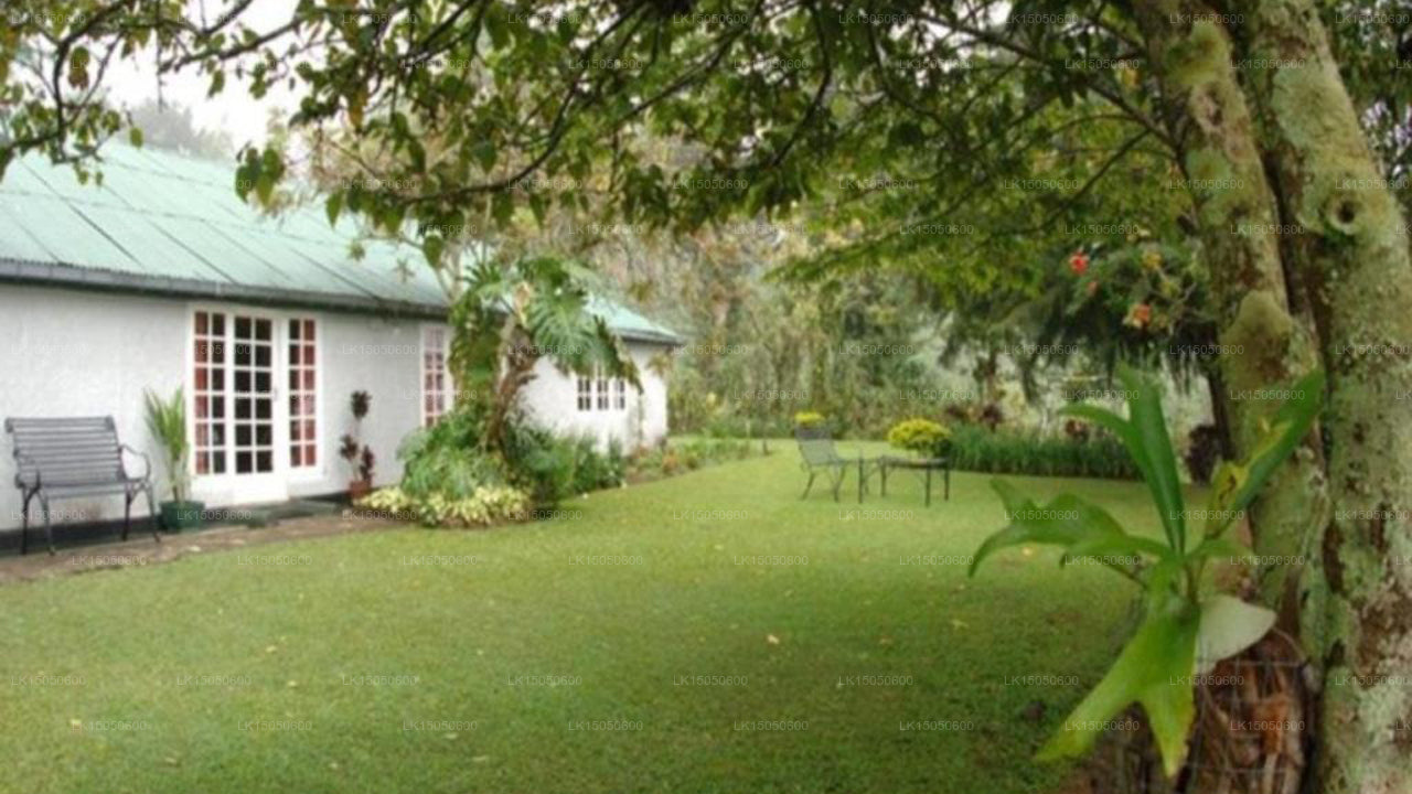 Sherwood Tea Plantation Bungalow, Haputale