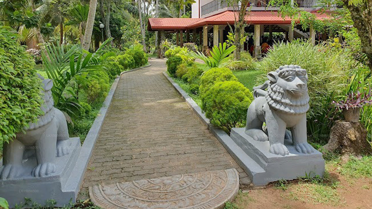 Little Villa, Wadduwa