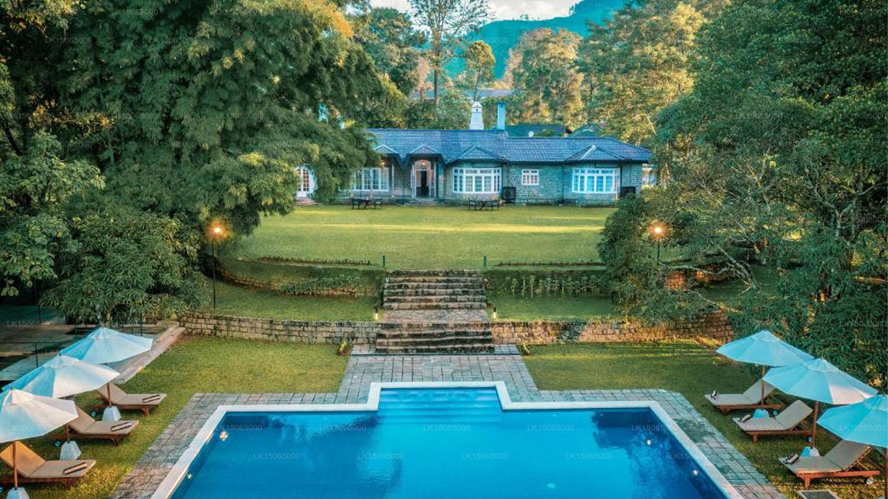 The Lavender House, Pussellawa