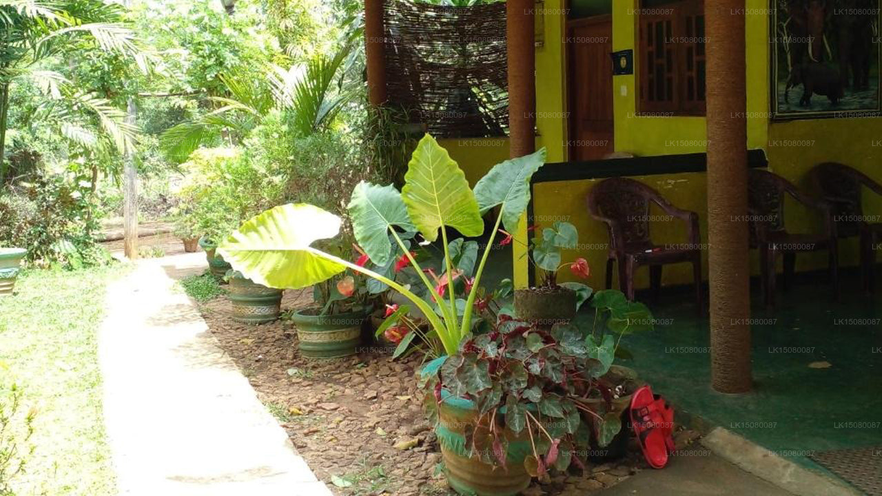 Sigiri Neo Homestay, Sigiriya