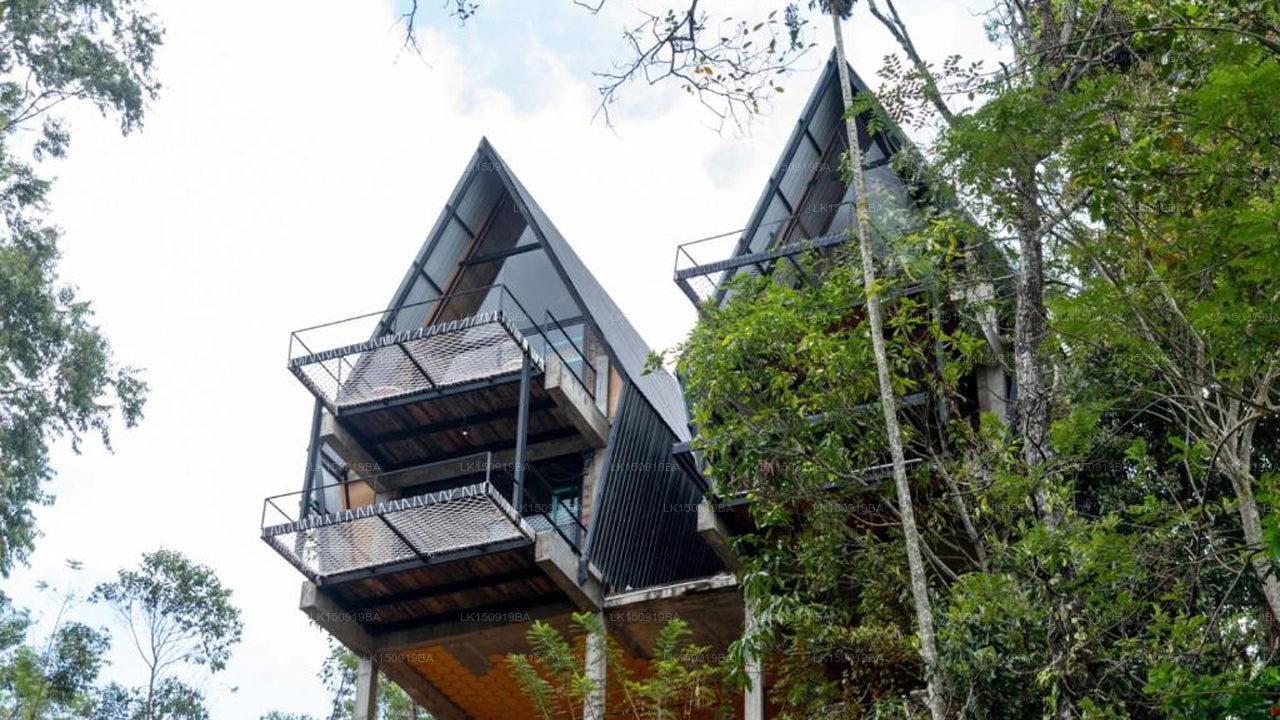 Wild Bee Hostel, Ella