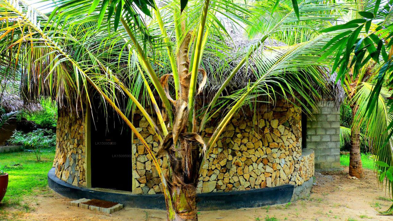 Turtle Beach Cabanas, Tangalle