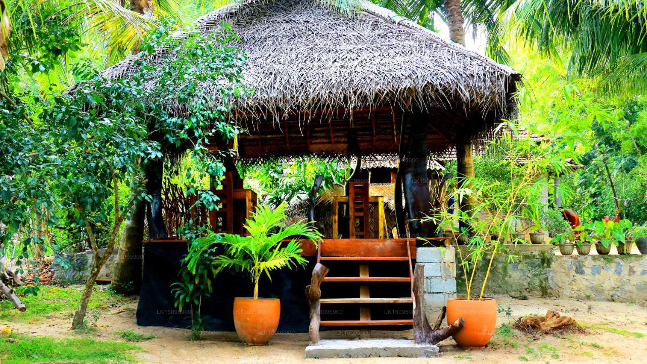 Turtle Beach Cabanas, Tangalle